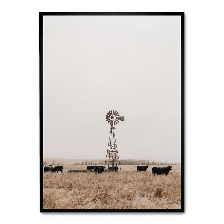 Old Fashioned Windmill