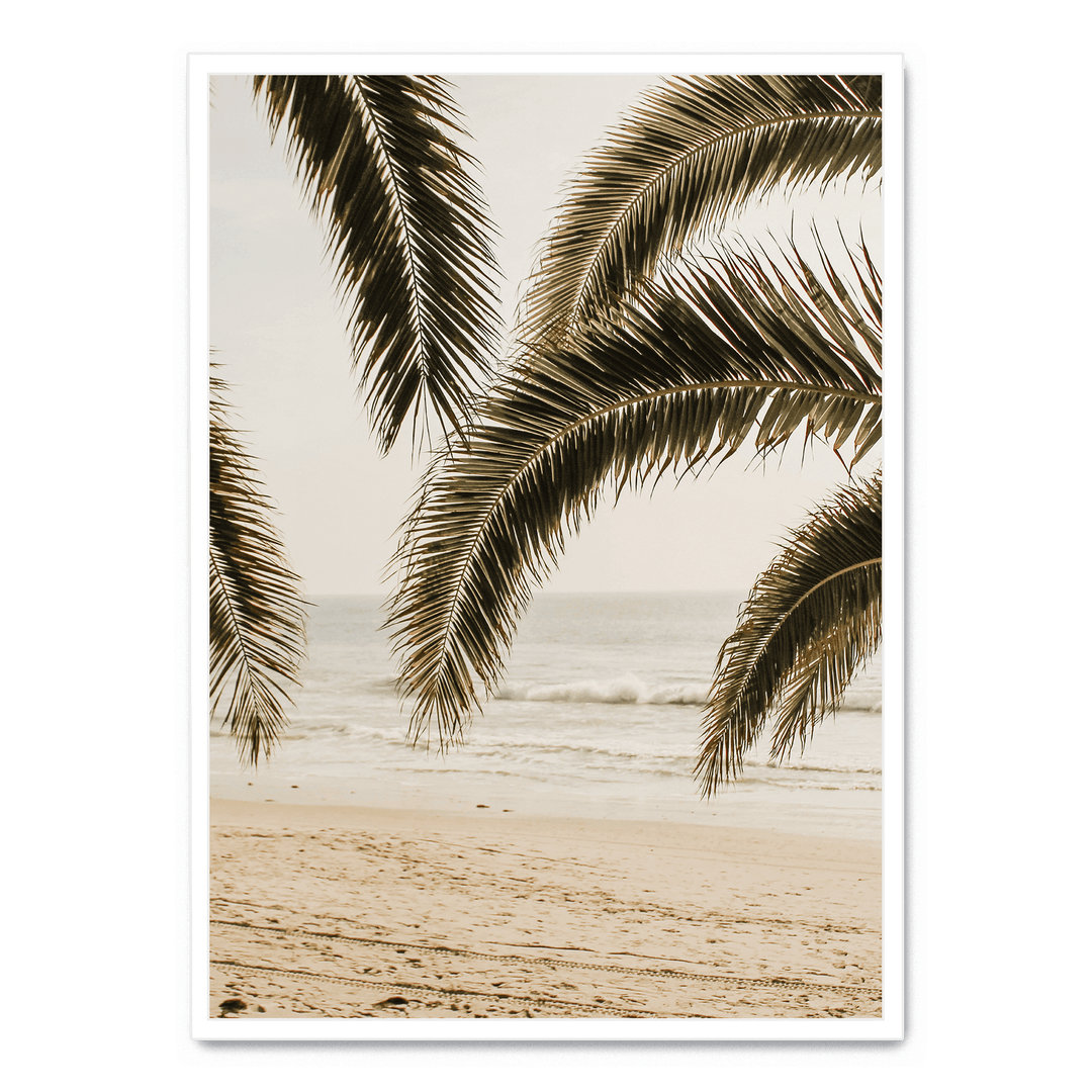 Palm Leaves On The Beach