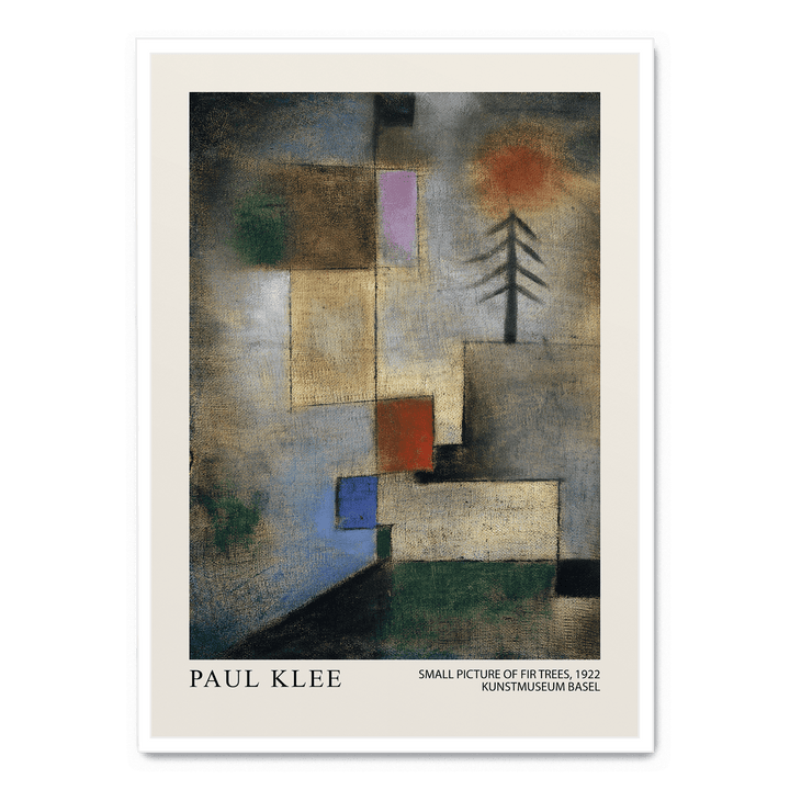 Small Picture Of Fir Trees