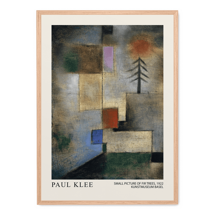 Small Picture Of Fir Trees