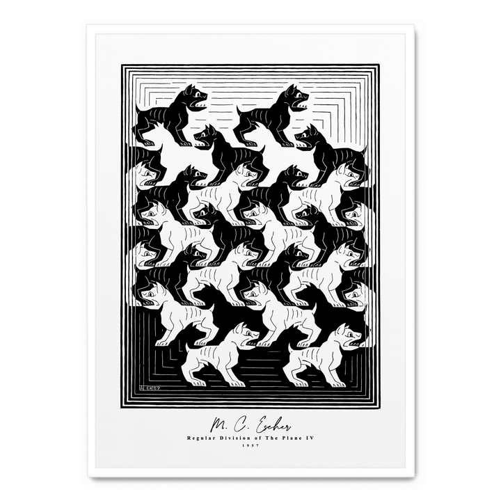 Regular Division Of The Plane IV