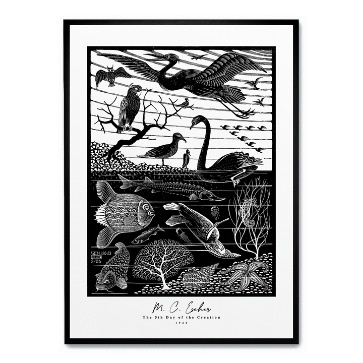 The 5th Day Of The Creation