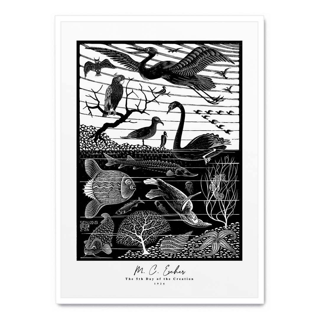 The 5th Day Of The Creation