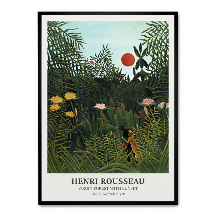 Virgin Forest With Sunset