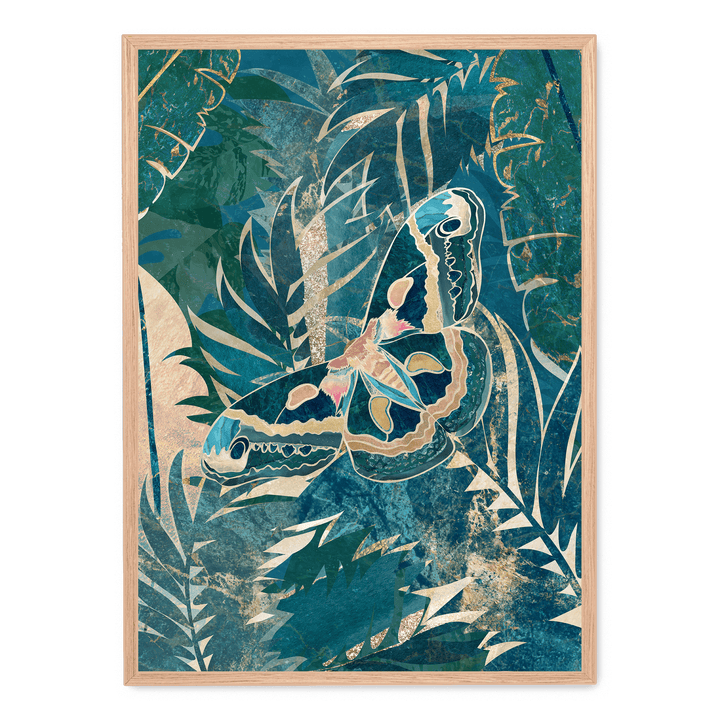 Moth In The Rainforest